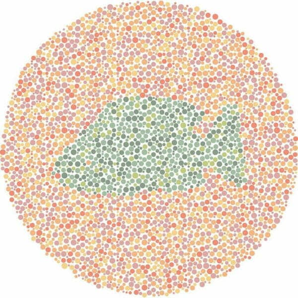 Color Blind Test | Quick & Fun Quiz | For Kids, Teens, And Adults