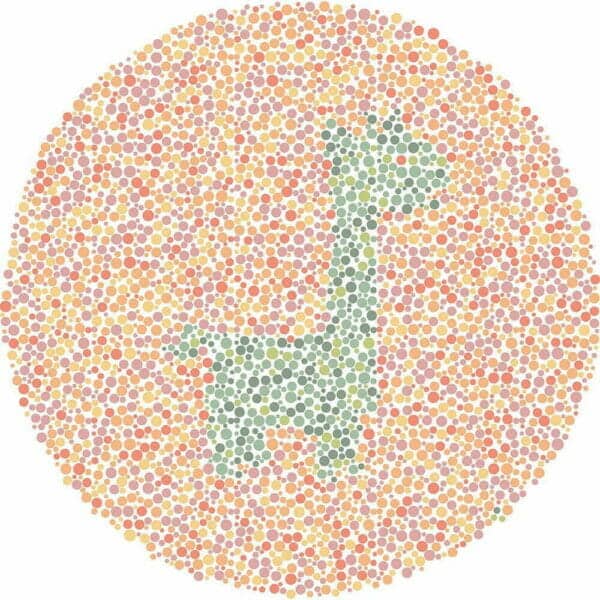 Color Blind Test | Quick & Fun Quiz | For Kids, Teens, And Adults