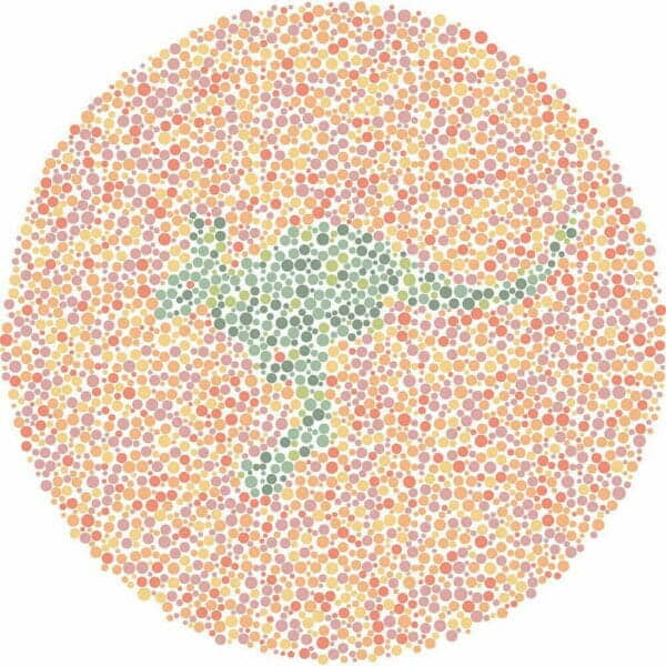 Color Blind Test | Quick & Fun Quiz | For Kids, Teens, And Adults