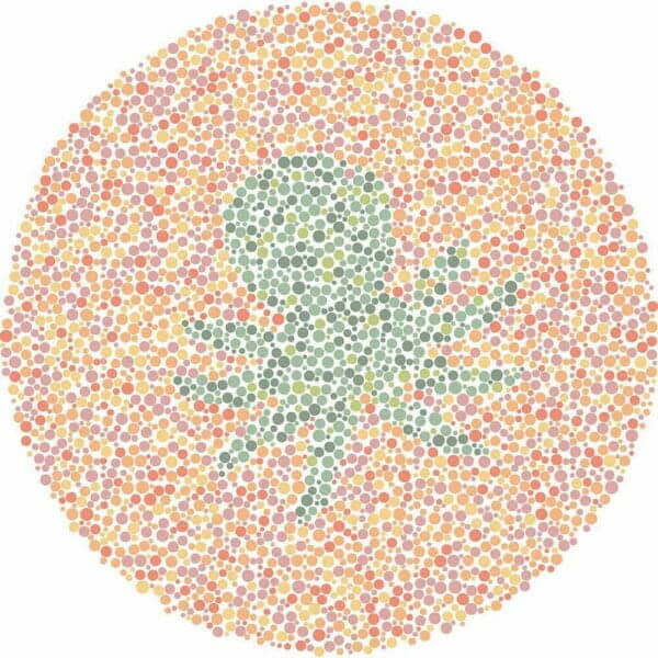 Color Blind Test | Quick & Fun Quiz | For Kids, Teens, And Adults