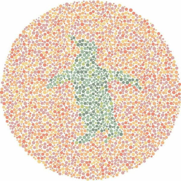 Color Blind Test | Quick & Fun Quiz | For Kids, Teens, And Adults