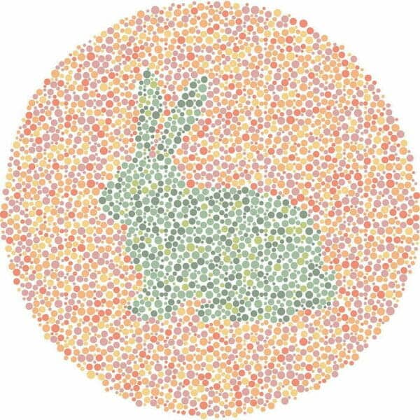 Color Blind Test | Quick & Fun Quiz | For Kids, Teens, And Adults