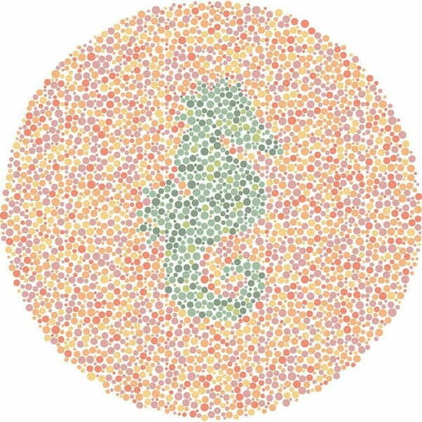 Color Blind Test | Quick & Fun Quiz | For Kids, Teens, And Adults