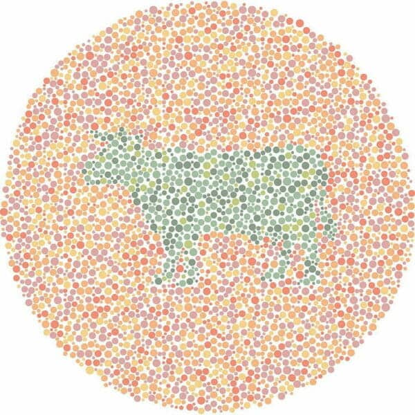 Color Blind Test | Quick & Fun Quiz | For Kids, Teens, And Adults