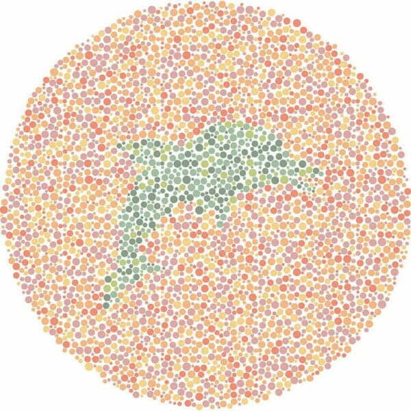 Color Blind Test | Quick & Fun Quiz | For Kids, Teens, And Adults