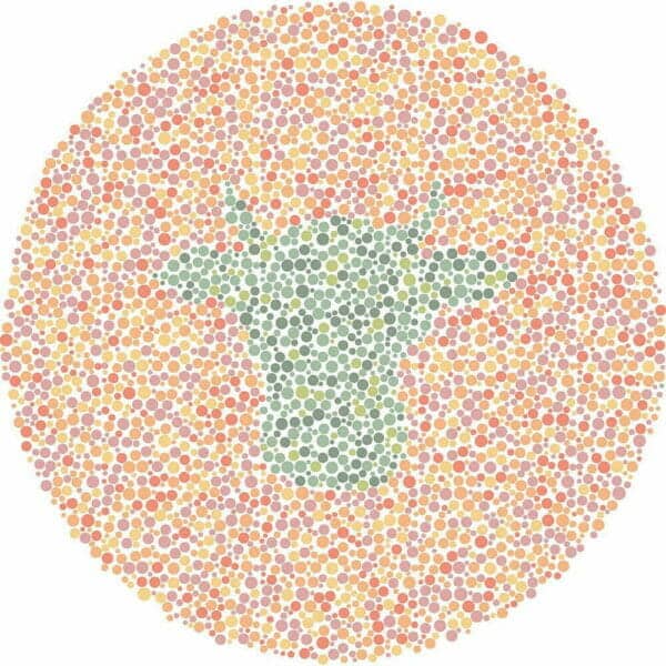 Color Blind Test | Quick & Fun Quiz | For Kids, Teens, And Adults