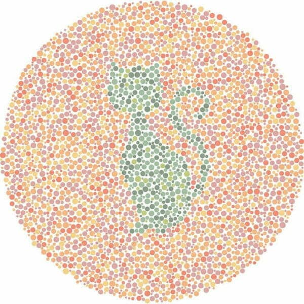 Color Blind Test | Quick & Fun Quiz | For Kids, Teens, And Adults