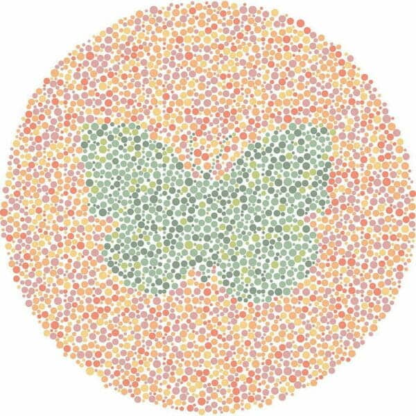 Color Blind Test | Quick & Fun Quiz | For Kids, Teens, And Adults