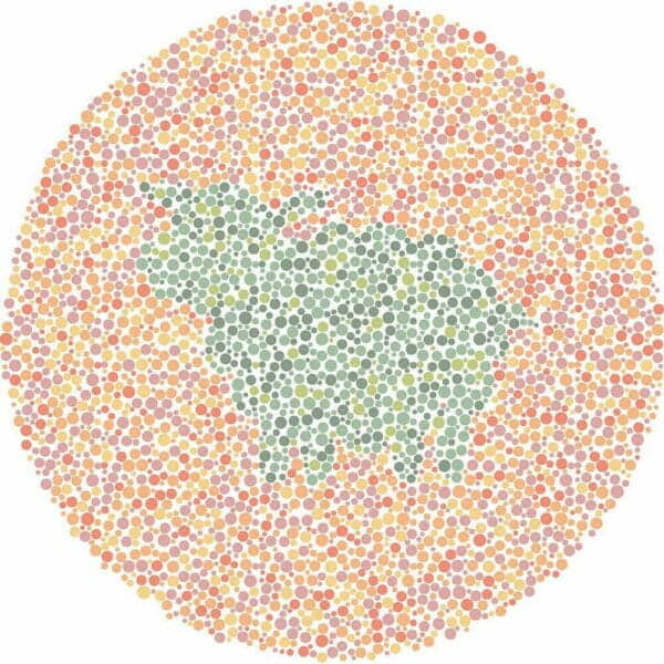 Color Blind Test | Quick & Fun Quiz | For Kids, Teens, And Adults