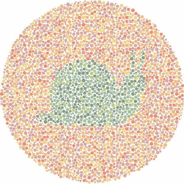 Color Blind Test | Quick & Fun Quiz | For Kids, Teens, And Adults