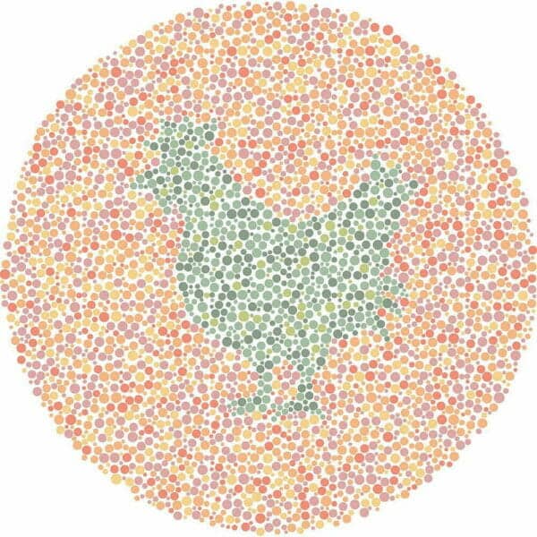 Color Blind Test | Quick & Fun Quiz | For Kids, Teens, And Adults