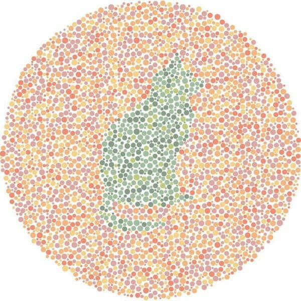 Color Blind Test | Quick & Fun Quiz | For Kids, Teens, And Adults