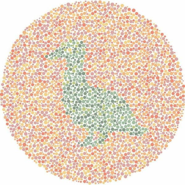 Color Blind Test | Quick & Fun Quiz | For Kids, Teens, And Adults