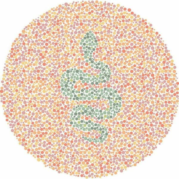 Color Blind Test | Quick & Fun Quiz | For Kids, Teens, And Adults