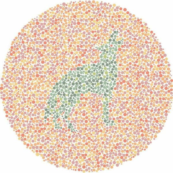 Color Blind Test | Quick & Fun Quiz | For Kids, Teens, And Adults