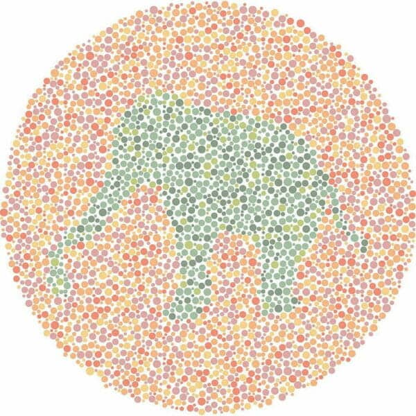 Color Blind Test | Quick & Fun Quiz | For Kids, Teens, And Adults