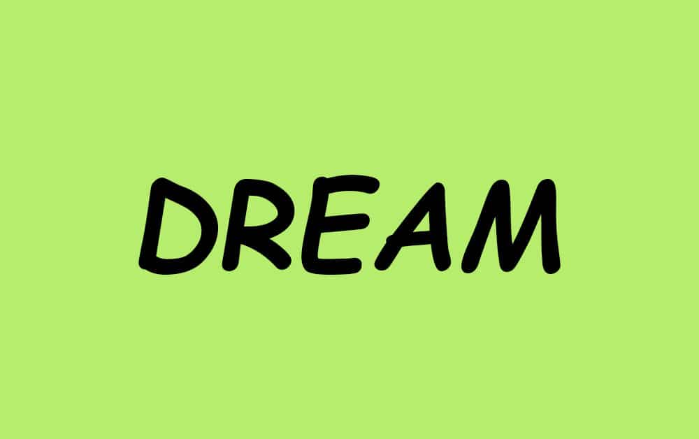 Which Dream SMP Member Are You?