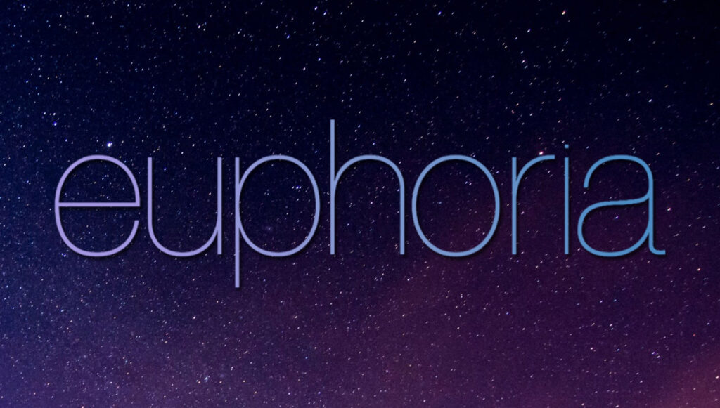 Which Euphoria Character Are You?