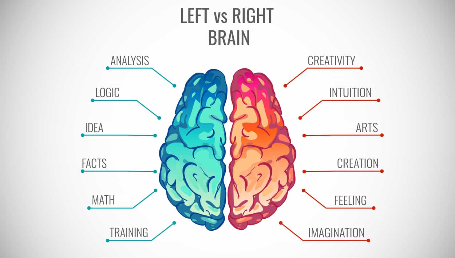 Are you left- or right-brained?