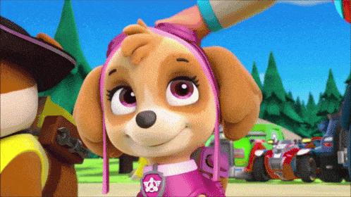 Which PAW Patrol character are you?
