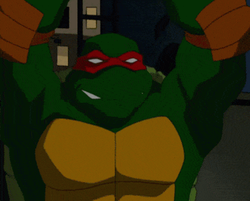 Which one of the Teenage Mutant Ninja Turtles are you?