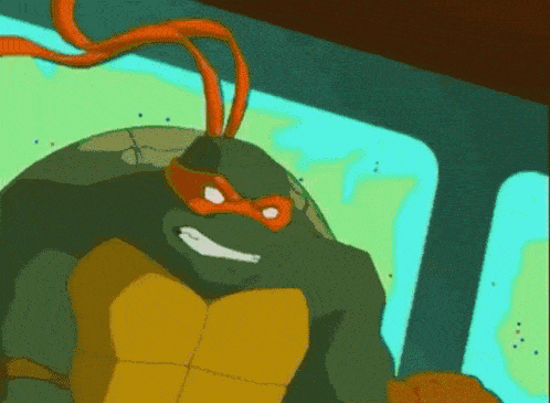Which one of the Teenage Mutant Ninja Turtles are you?