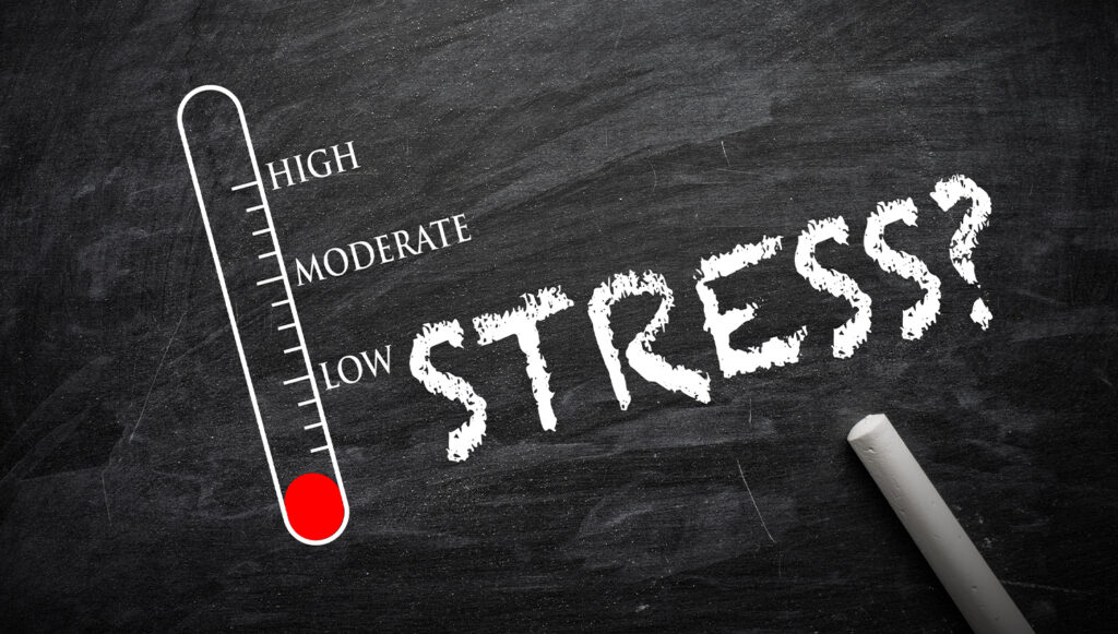What is your stress level?