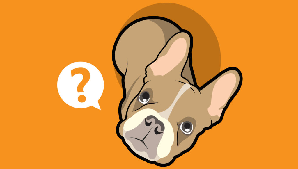 Dog knowledge quiz