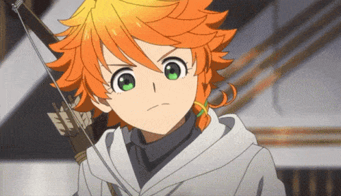 the-promised-neverland-tpn