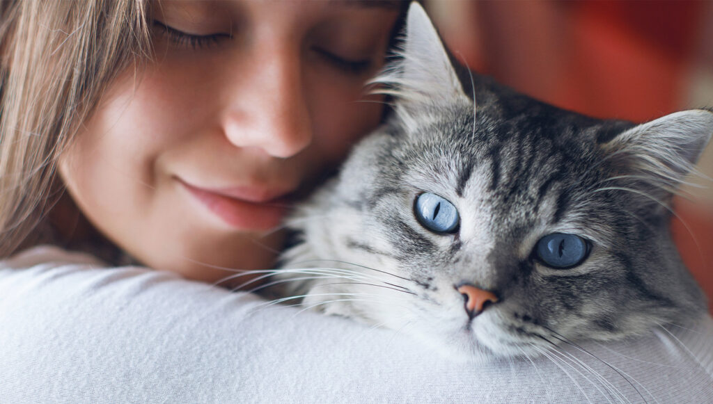 The ultimate cat lover quiz