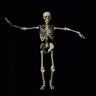 bones-dance