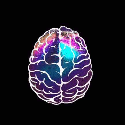 brain-mind