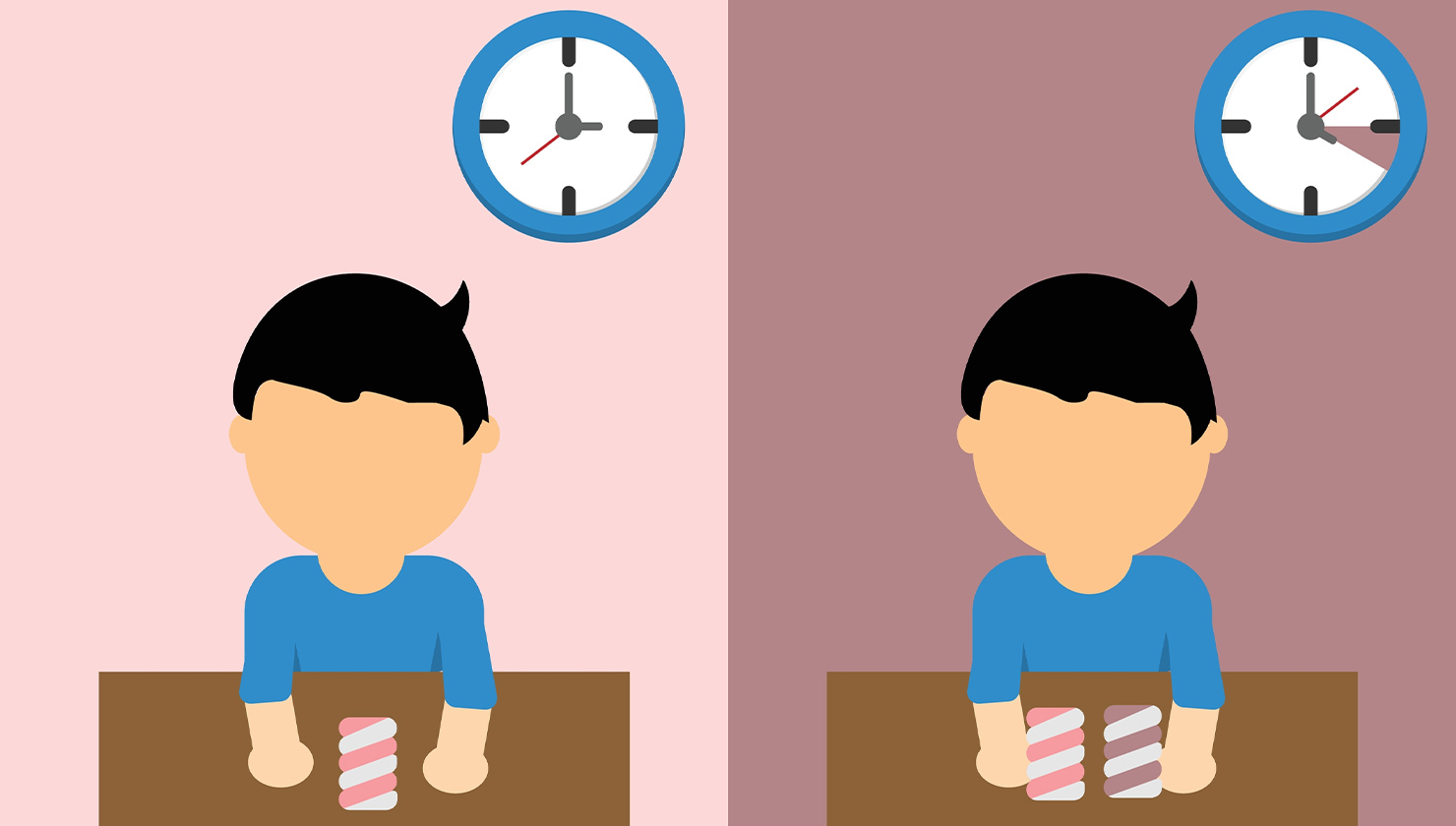 The Marshmallow Test February 2024