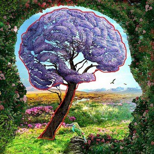 unconscious-personality-brain-tree