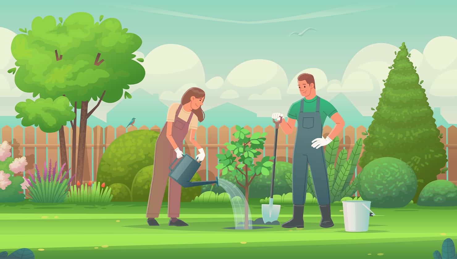 Which House Plant Should I Get? Everything You Need To Know