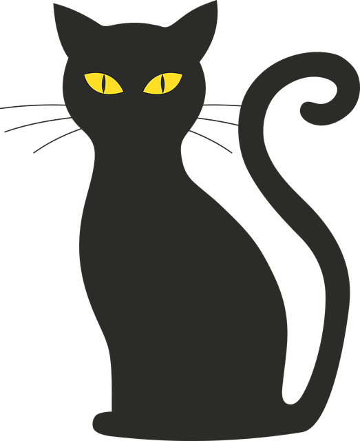 black-cat-or-golden-retriever-quiz-reliable-2023-personality-quiz_2023-01-17_103700