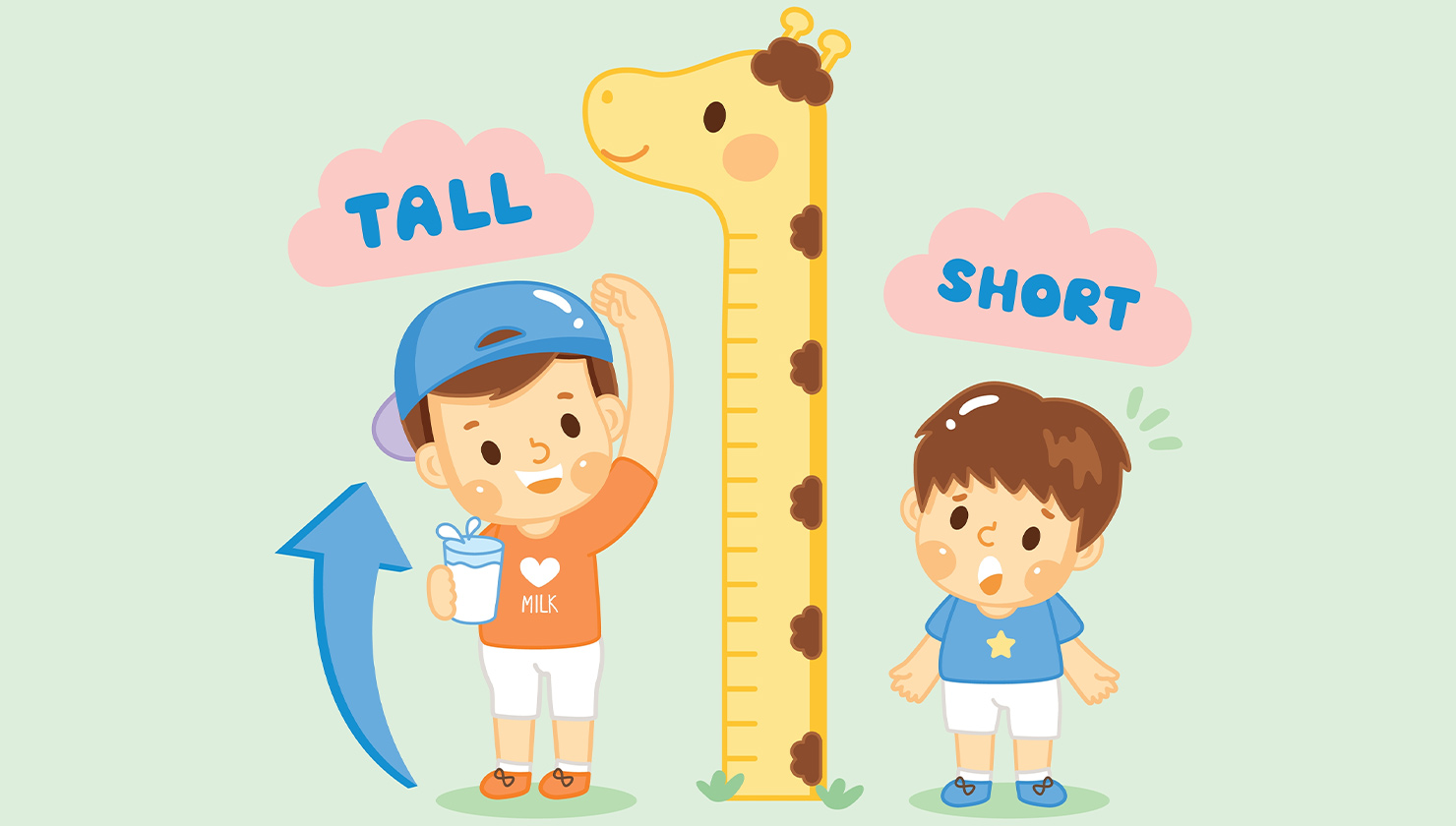 How Tall Will I Be Height Test February 2024