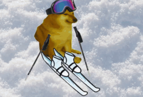 doge-skiing-doge