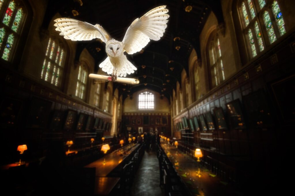 hogwarts-legacy-quiz-everything-you-need-to-know_2023-02-13_172152