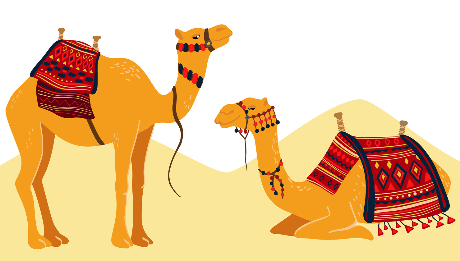 How Many Camels Am I Worth February 2024