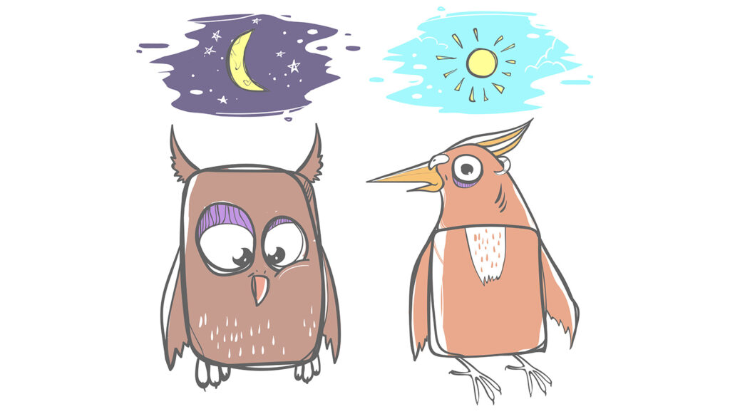 Are You A Night Owl Or An Early Bird? | 2023 Free & Honest Quiz