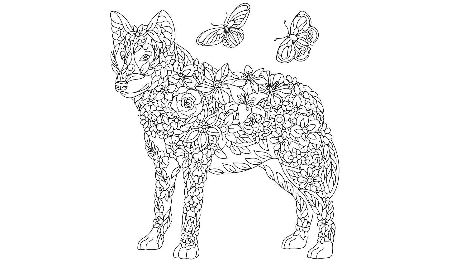 Are You A Social Butterfly Or A Lone Wolf? This Quiz Analyzes 20 Factors To Find It Out