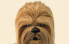 Are You An Ewok Or A Wookiee?