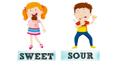 Are You Sweet Or Sour? | The Most Accurate 2024 Updated Quiz