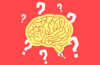 Neuroq Quiz