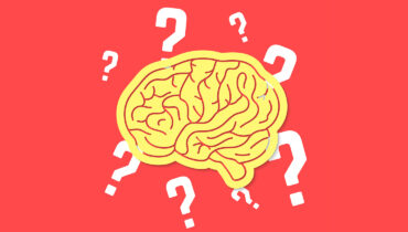 Neuroq Quiz | How Well Does Your Brain Work?