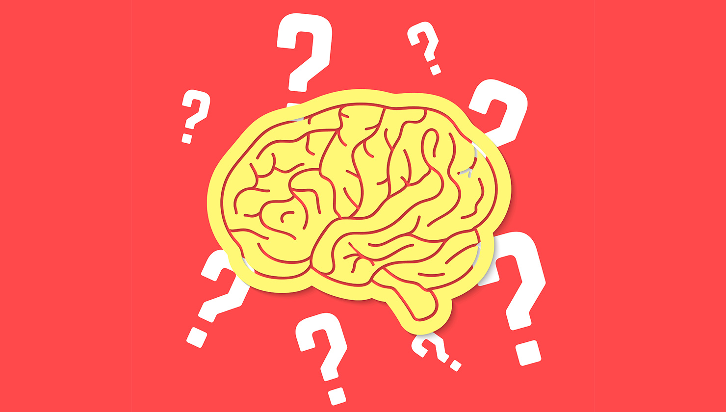 Neuroq Quiz How Well Does Your Brain Work March 2024