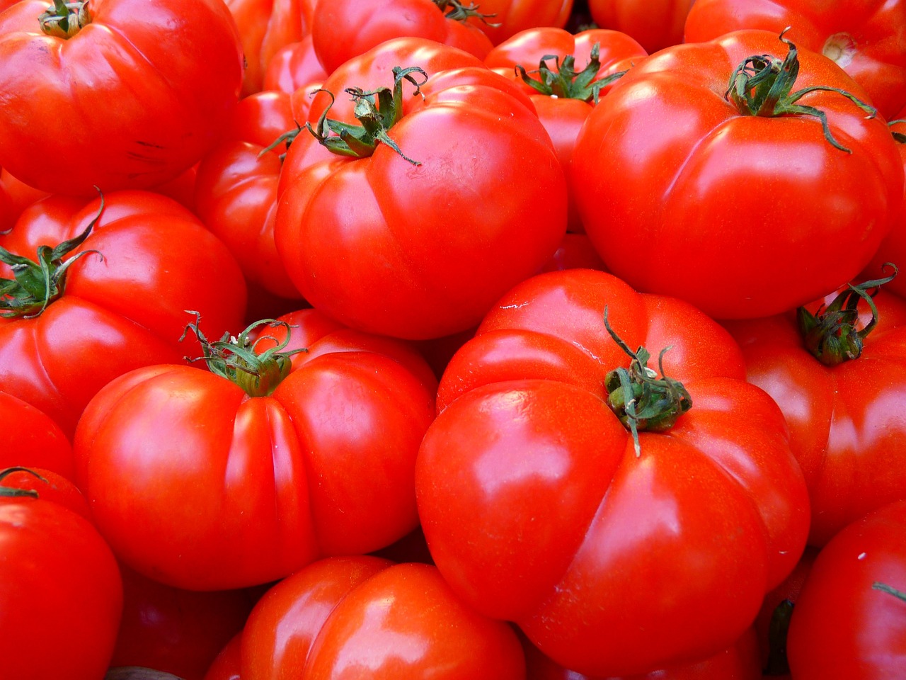 tomatoes-5356-1280