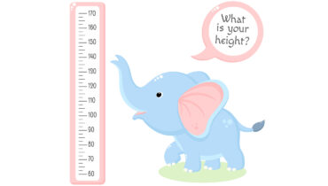 Quiz That Guesses Your Height | 20 Factors To Consider | 99% Accuracy