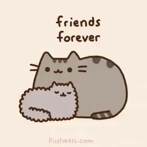 pusheen-friends-forever